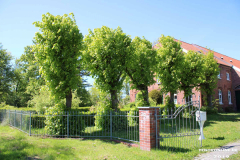 Heerstraße-Norden-13.5.2019-3