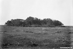 Historische-Bilder-Stadt-Norden-um-1920-11