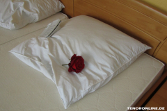 Hotel-Stadt-Norden-Innenansicht-vor-dem-Abriss-3.4.2019-94