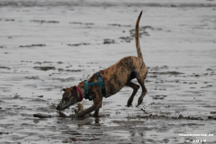 Hundestrand-Norddeich-13.10.2019-1