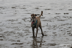 Hundestrand-Norddeich-13.10.2019-10