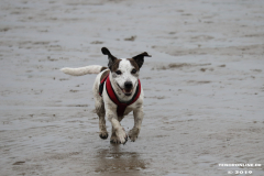 Hundestrand-Norddeich-13.10.2019-11