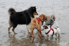 Hundestrand-Norddeich-13.10.2019-12