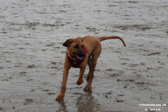 Hundestrand-Norddeich-13.10.2019-13