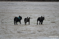 Hundestrand-Norddeich-13.10.2019-17