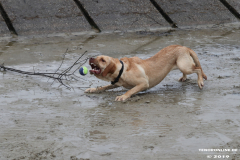 Hundestrand-Norddeich-13.10.2019-18