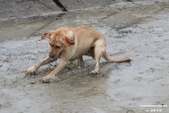 Hundestrand-Norddeich-13.10.2019-19