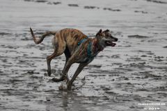 Hundestrand-Norddeich-13.10.2019-2