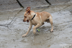 Hundestrand-Norddeich-13.10.2019-20