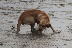 Hundestrand-Norddeich-13.10.2019-21