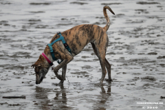 Hundestrand-Norddeich-13.10.2019-3