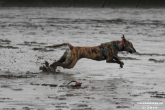 Hundestrand-Norddeich-13.10.2019-5