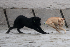 Hundestrand-Norddeich-13.10.2019-6