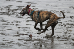 Hundestrand-Norddeich-13.10.2019-7