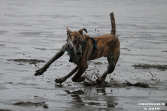 Hundestrand-Norddeich-13.10.2019-8