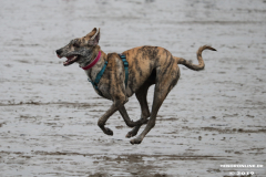 Hundestrand-Norddeich-13.10.2019-9