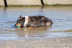 Hundestrand-Norddeich-Ostfriesland-14.3.2020-10