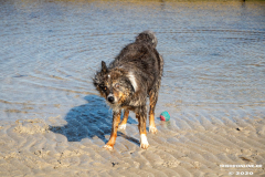 Hundestrand-Norddeich-Ostfriesland-14.3.2020-12