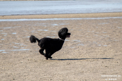 Hundestrand-Norddeich-Ostfriesland-14.3.2020-15