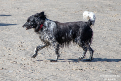 Hundestrand-Norddeich-Ostfriesland-14.3.2020-17