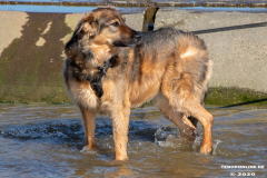 Hundestrand-Norddeich-Ostfriesland-14.3.2020-18