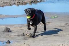 Hundestrand-Norddeich-Ostfriesland-14.3.2020-2