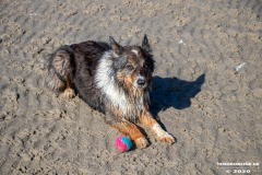 Hundestrand-Norddeich-Ostfriesland-14.3.2020-20