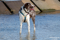 Hundestrand-Norddeich-Ostfriesland-14.3.2020-24