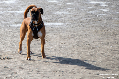 Hundestrand-Norddeich-Ostfriesland-14.3.2020-25