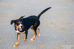 Hundestrand-Norddeich-Ostfriesland-14.3.2020-26