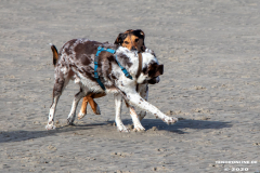 Hundestrand-Norddeich-Ostfriesland-14.3.2020-27