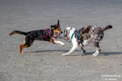 Hundestrand-Norddeich-Ostfriesland-14.3.2020-28