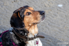 Hundestrand-Norddeich-Ostfriesland-14.3.2020-29