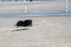 Hundestrand-Norddeich-Ostfriesland-14.3.2020-3