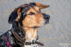 Hundestrand-Norddeich-Ostfriesland-14.3.2020-31