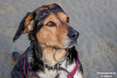 Hundestrand-Norddeich-Ostfriesland-14.3.2020-33