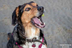 Hundestrand-Norddeich-Ostfriesland-14.3.2020-34