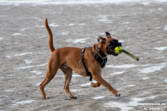 Hundestrand-Norddeich-Ostfriesland-14.3.2020-36