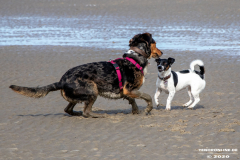 Hundestrand-Norddeich-Ostfriesland-14.3.2020-41