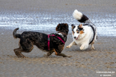 Hundestrand-Norddeich-Ostfriesland-14.3.2020-42