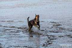 Hundestrand-Norddeich-Ostfriesland-14.3.2020-49