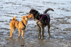 Hundestrand-Norddeich-Ostfriesland-14.3.2020-51