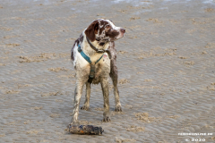 Hundestrand-Norddeich-Ostfriesland-14.3.2020-57