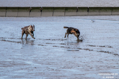 Hundestrand-Norddeich-Ostfriesland-14.3.2020-59