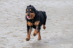 Hundestrand-Norddeich-Ostfriesland-14.3.2020-66
