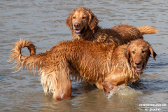 Hundestrand-Norddeich-Ostfriesland-14.3.2020-68