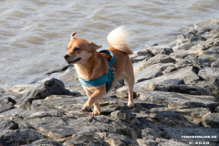 Hundestrand-Norddeich-Ostfriesland-14.3.2020-74