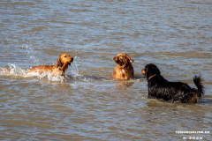 Hundestrand-Norddeich-Ostfriesland-14.3.2020-81