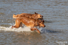 Hundestrand-Norddeich-Ostfriesland-14.3.2020-85