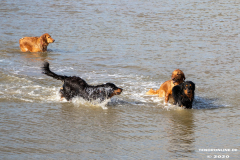 Hundestrand-Norddeich-Ostfriesland-14.3.2020-86